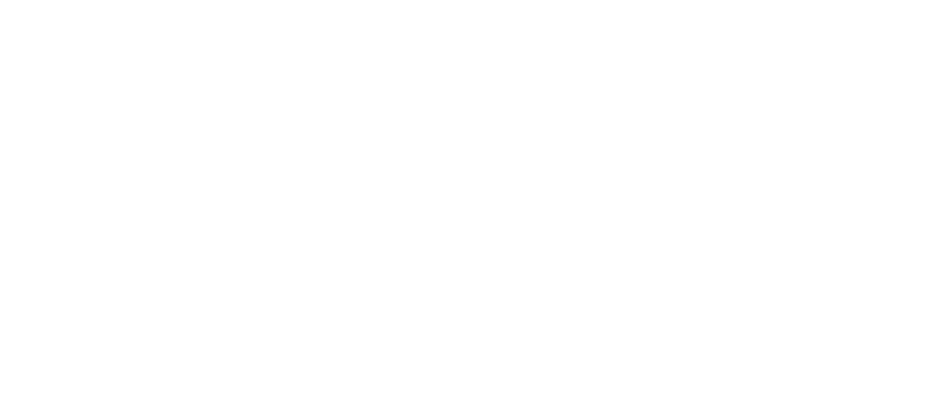 Elonex DigiVans